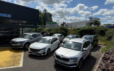 NOUVEL-ARRIVAGE-DE-VEHICULES-CHEZ-LE-TEXIER-AUTOMOBILES-1-1333823155049302-400x250