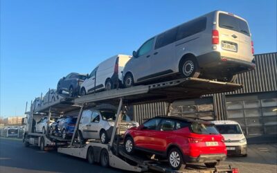 Nouvelle-annee-nouvelles-arrivees-1-1213901310374821-400x250